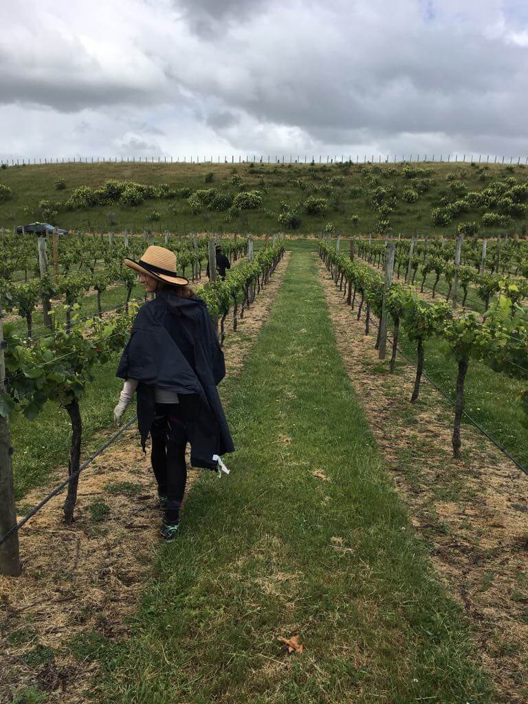 Travailler à Hastings